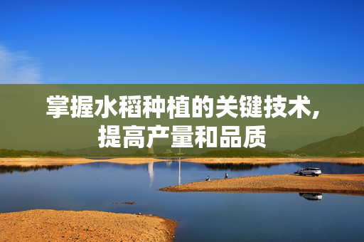 掌握水稻种植的关键技术,提高产量和品质