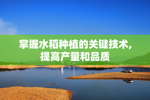掌握水稻种植的关键技术,提高产量和品质