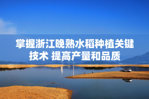 掌握浙江晚熟水稻种植关键技术 提高产量和品质
