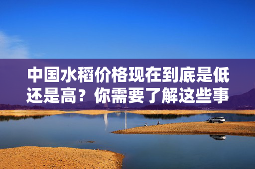 中国水稻价格现在到底是低还是高？你需要了解这些事实