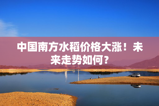 中国南方水稻价格大涨！未来走势如何？