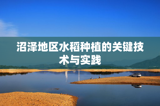 沼泽地区水稻种植的关键技术与实践