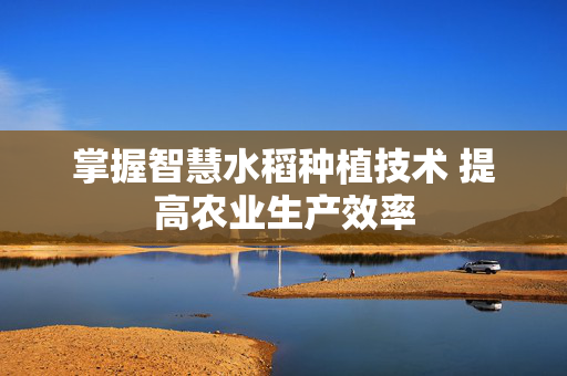 掌握智慧水稻种植技术 提高农业生产效率