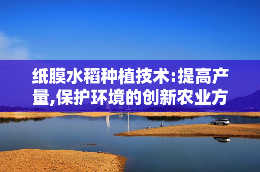 纸膜水稻种植技术:提高产量,保护环境的创新农业方式