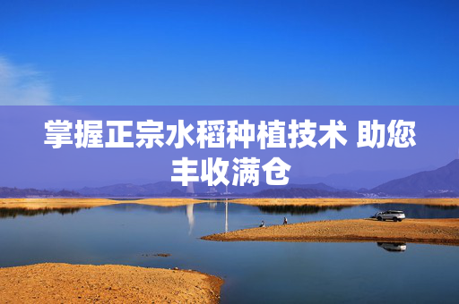 掌握正宗水稻种植技术 助您丰收满仓