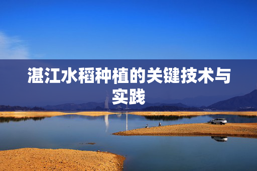 湛江水稻种植的关键技术与实践