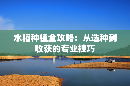 水稻种植全攻略：从选种到收获的专业技巧