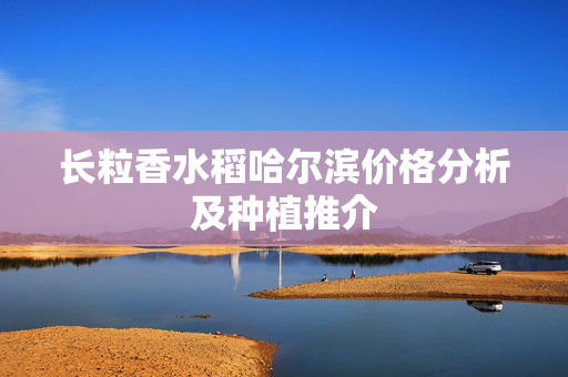 长粒香水稻哈尔滨价格分析及种植推介