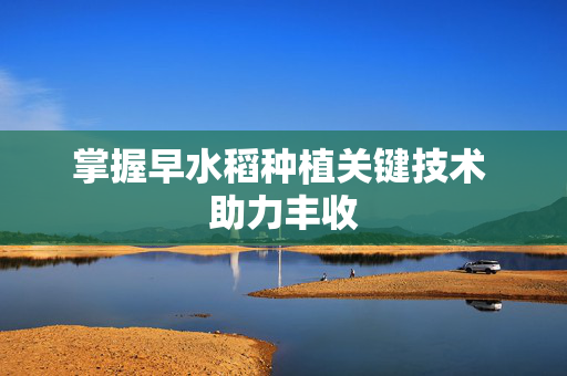 掌握早水稻种植关键技术 助力丰收