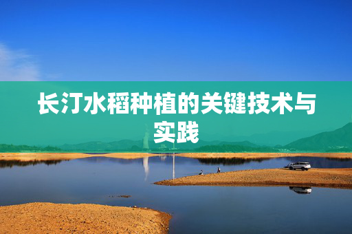 长汀水稻种植的关键技术与实践