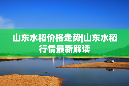山东水稻价格走势|山东水稻行情最新解读