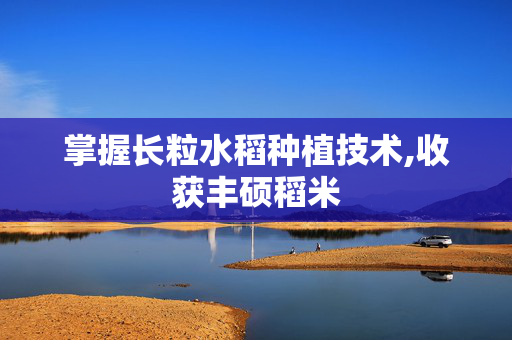 掌握长粒水稻种植技术,收获丰硕稻米