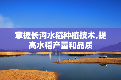 掌握长沟水稻种植技术,提高水稻产量和品质