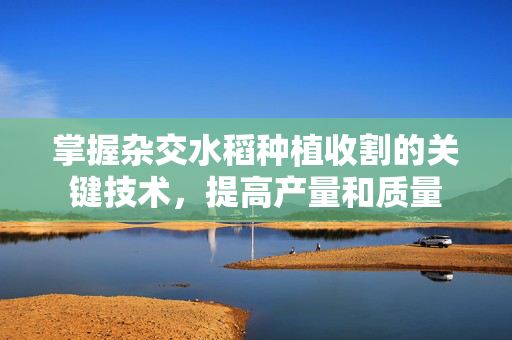 掌握杂交水稻种植收割的关键技术，提高产量和质量