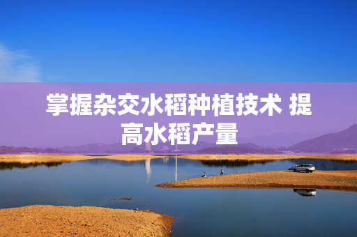 掌握杂交水稻种植技术 提高水稻产量