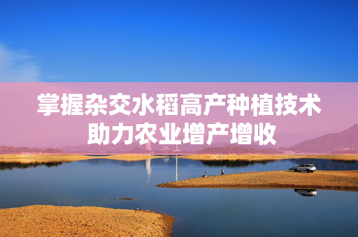 掌握杂交水稻高产种植技术 助力农业增产增收