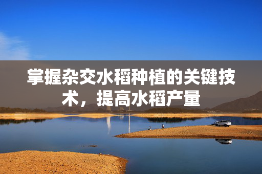 掌握杂交水稻种植的关键技术，提高水稻产量