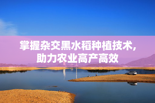 掌握杂交黑水稻种植技术,助力农业高产高效