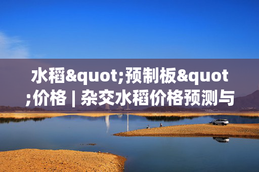 水稻"预制板"价格 | 杂交水稻价格预测与影响因素分析
