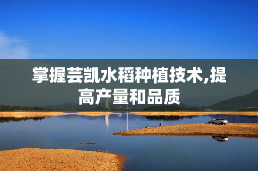 掌握芸凯水稻种植技术,提高产量和品质