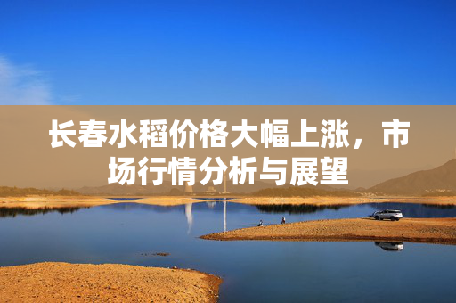 长春水稻价格大幅上涨，市场行情分析与展望