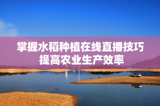 掌握水稻种植在线直播技巧 提高农业生产效率