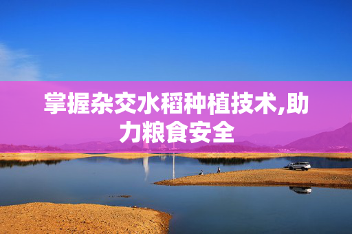掌握杂交水稻种植技术,助力粮食安全