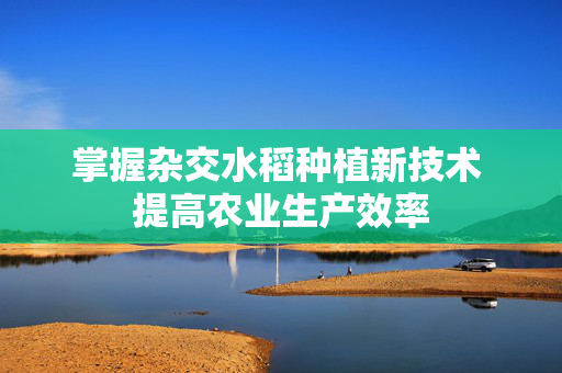 掌握杂交水稻种植新技术 提高农业生产效率