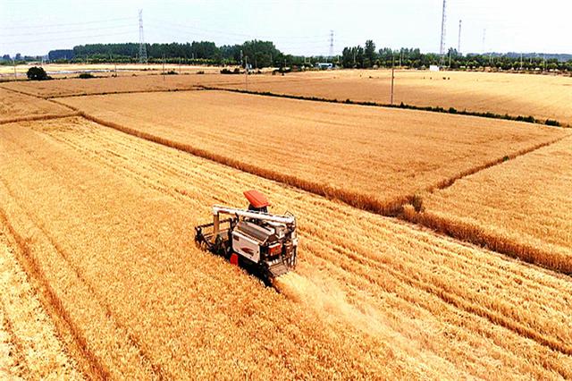 泰州国有粮食企业名录查询(江苏省粮食集团泰州粮食收储有限公司)