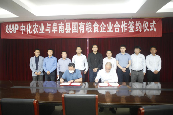 包含中化现代农业收购粮食企业的词条