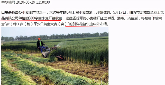 2005年粮食企业改革(2005年两山理论提出时间与地点)