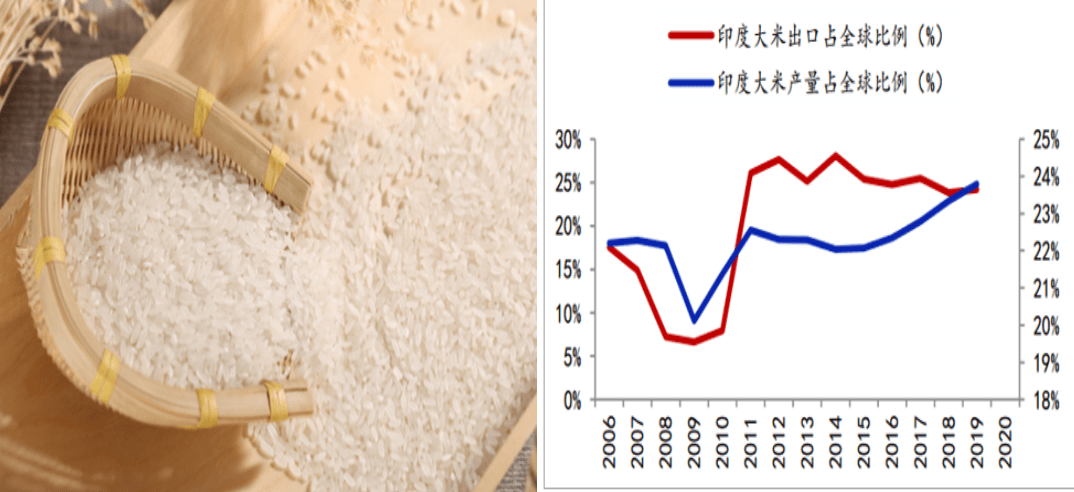 出口为主的粮食企业有哪些(出口粮食最多的国家是哪个国家)