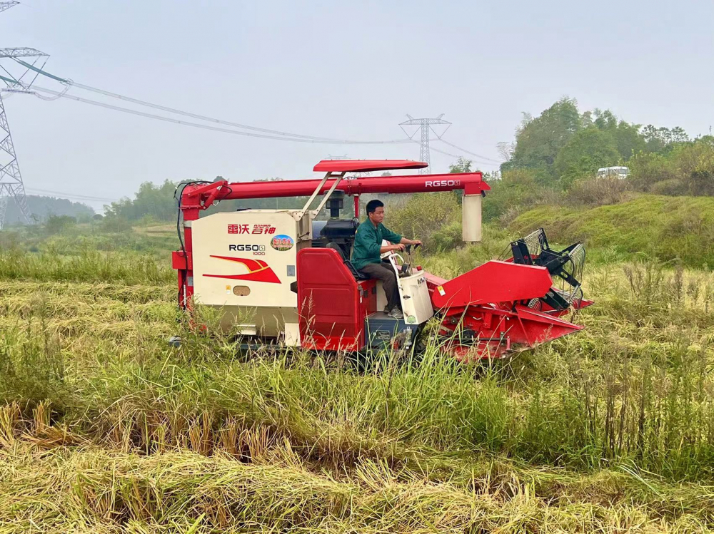 雷沃稻子收割机报价(雷沃水稻收割机多少钱一台,2019款)