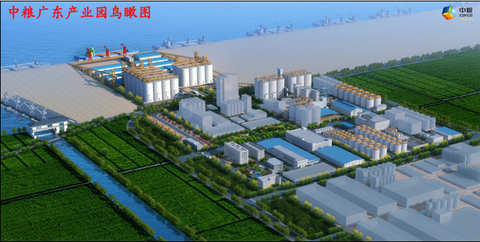 东莞最大的粮食企业是哪家(东莞最大的粮食企业是哪家公司)