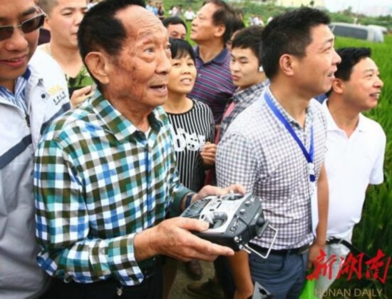 袁隆平水稻之父英语(杂交水稻之父袁隆平英语作文)