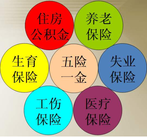 粮食企业应该交五险一金吗(粮食企业应该交五险一金吗多少钱)