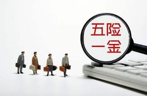 粮食企业应该交五险一金吗(粮食企业应该交五险一金吗多少钱)