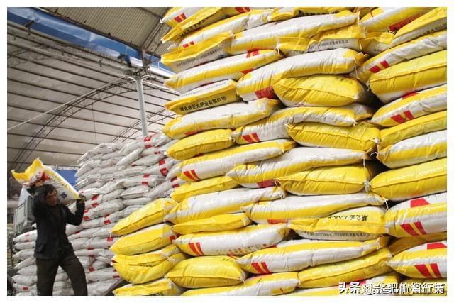 鲁西复合肥40%价格(鲁西复合肥151515)