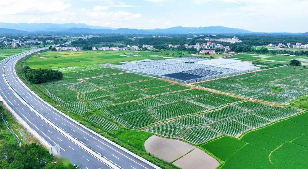 龙岗粮食企业排名榜单公布(龙岗粮食企业排名榜单公布最新)