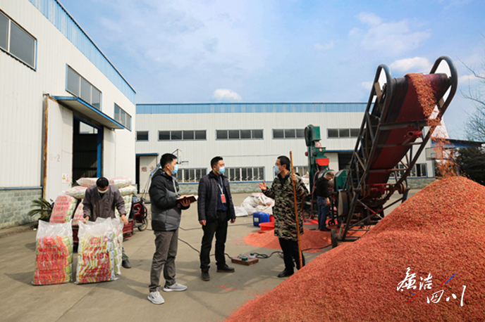 粮食企业存在的问题和建议(粮食企业存在的问题和建议怎么写)