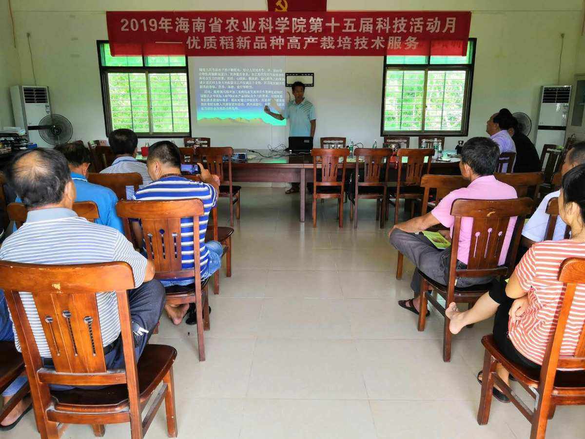 海南粮食企业违规事件处理(海南粮食企业违规事件处理办法最新)
