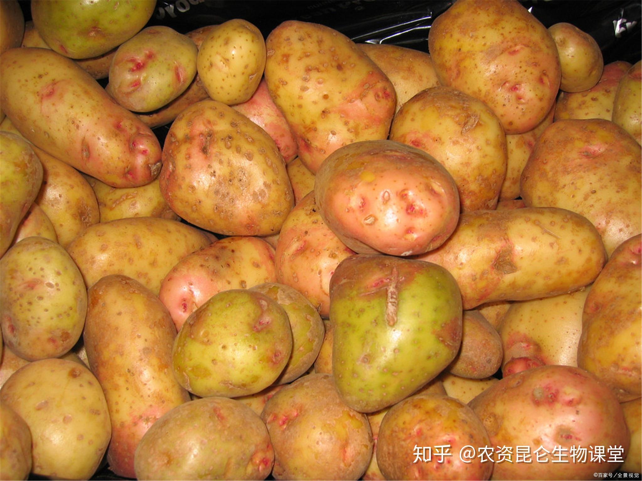 庐江旺联复合肥(旺众复合肥有限公司)