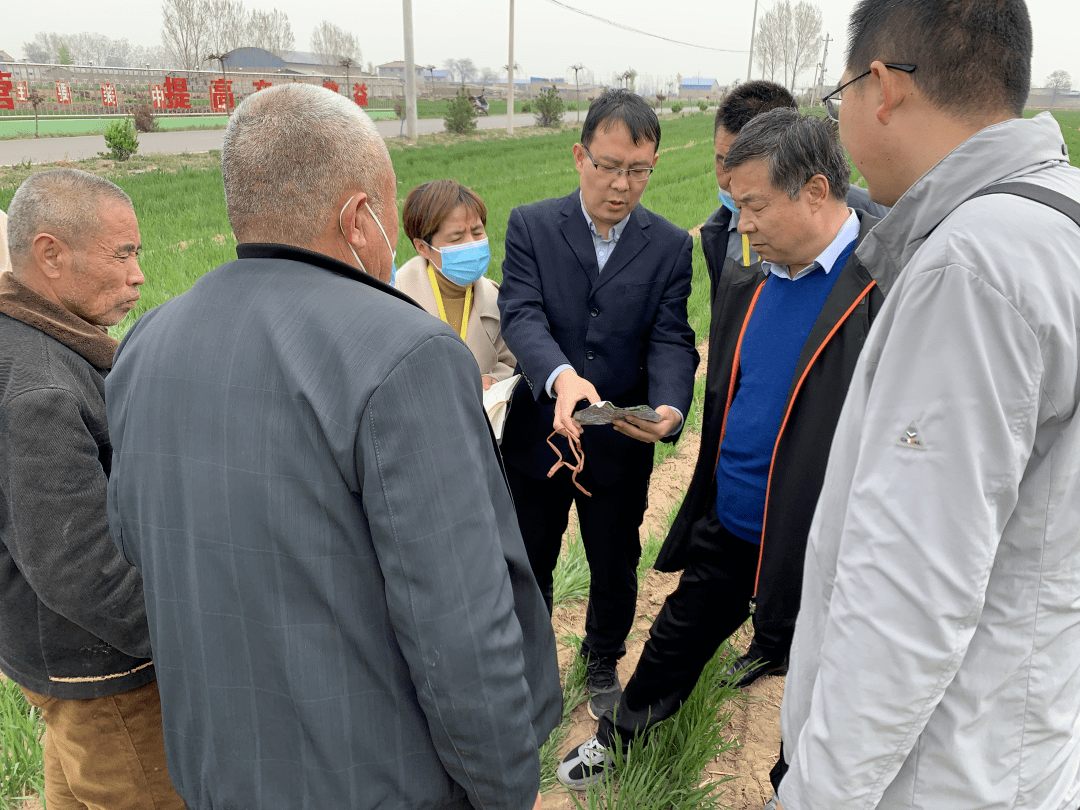 粮食企业成品粮验收的简报(粮食企业成品粮验收的简报内容)
