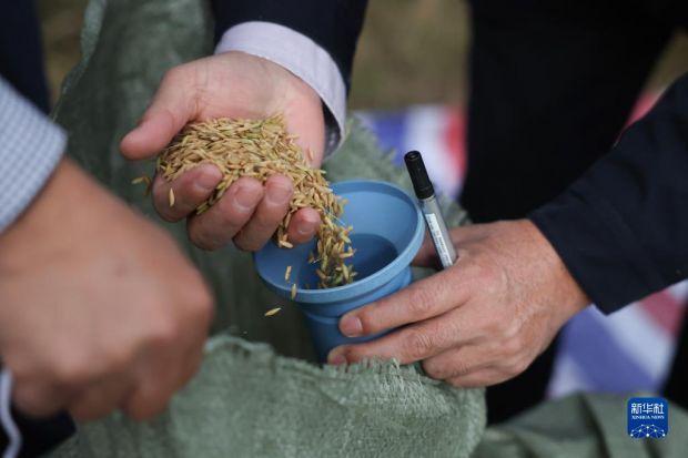 粮食企业成品粮验收的简报(粮食企业成品粮验收的简报内容)