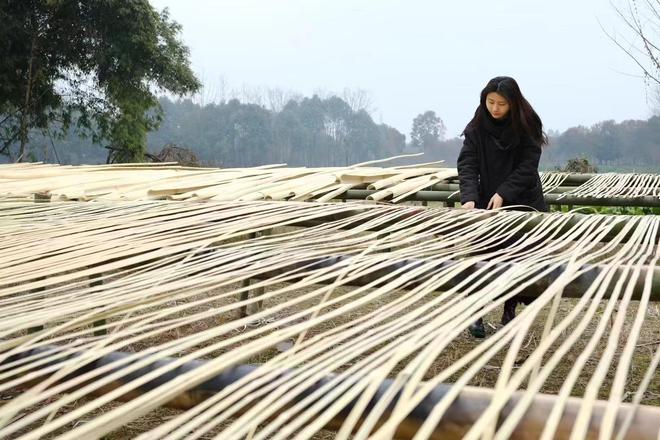 潮汕支援广州粮食企业(潮汕支援广州粮食企业了吗)