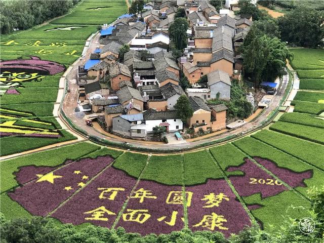 隧道与水稻(隧道水害原因)