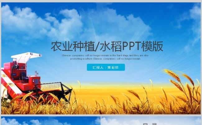 粮食企业背景图(粮食企业logo)