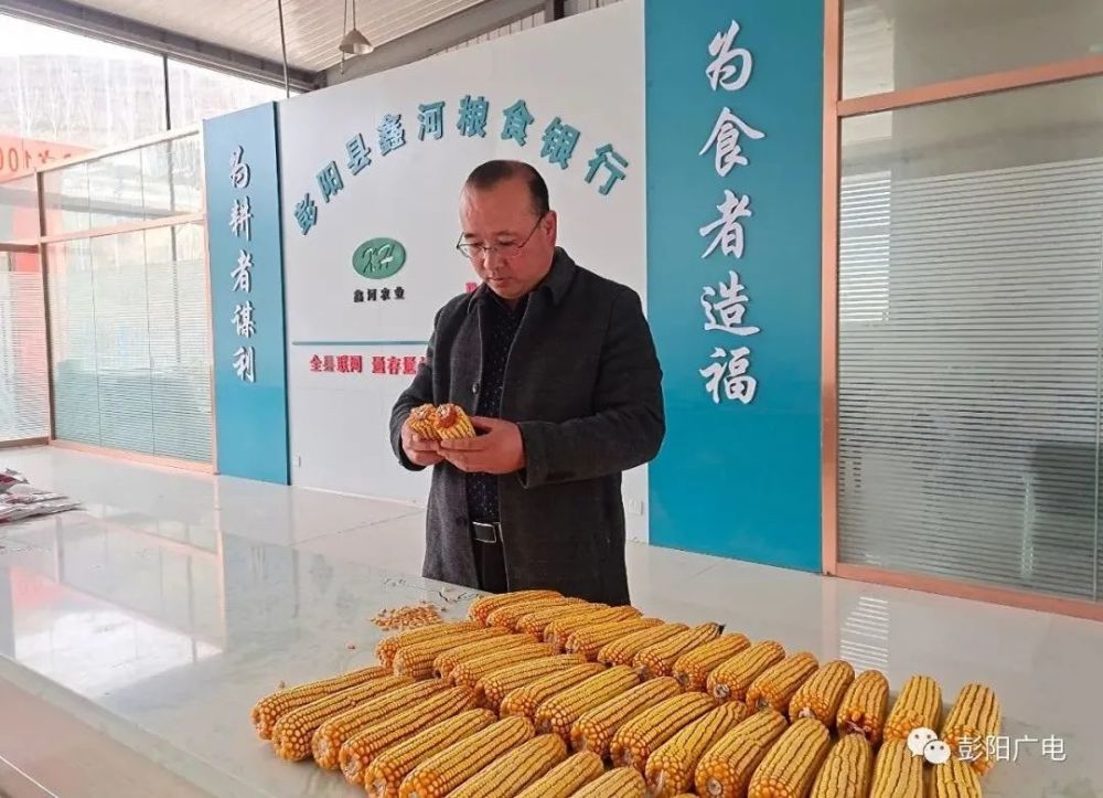 粮食企业的责任担当(粮食企业的责任担当是什么)