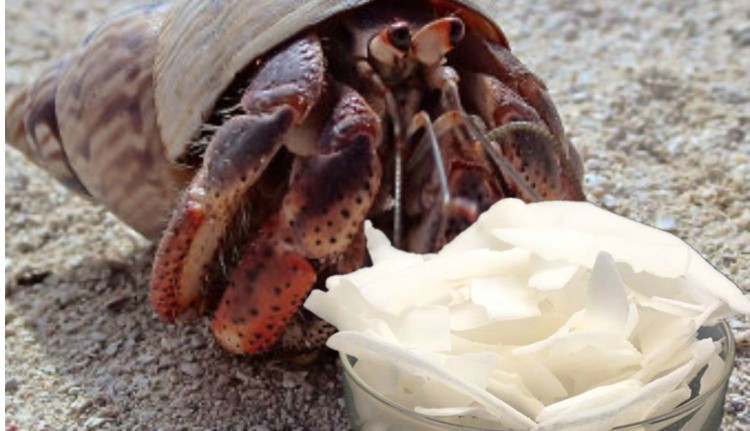 海盐粮食企业名录最新公示(海盐粮食企业名录最新公示公告)