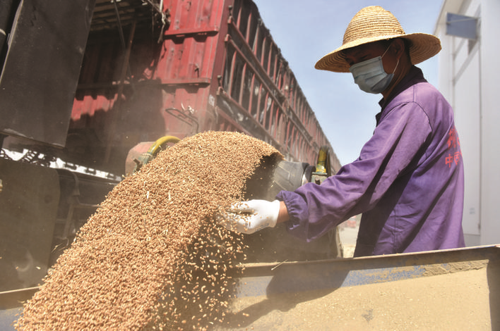 粮食企业收购加工销售(粮食收购及加工成本会计分录)